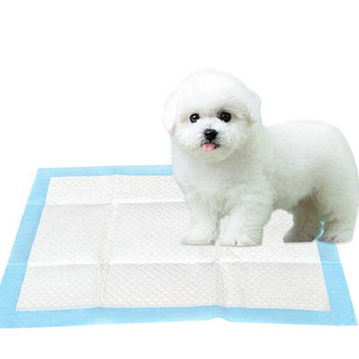 O treinamento 60*90cm descartável impermeável do cachorrinho acolchoa a superfície seca